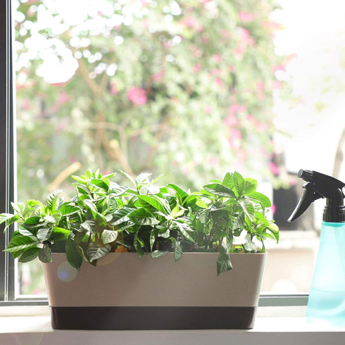 Planter Windowsill Box, 1 Pack 12x3.8 Inch Herb Rectangle Planter with Tray, Modern Indoor Succulent Cactus Plastic Plant Pot for Windowsill, Gard...