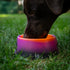 Silipint: Aqua-Fur Silicone Dog Bowl: Sun Storm - 18oz Colapsible/Foldable, Lightweight, Feed & Water Dish, Pet Travel...