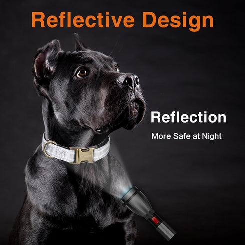 Reflective Dog Collar,Metal Buckle Soft Neoprene Padded Breathable Nylon Pet Collar Adjustable for Small Medium Large Boys Girls Dogs (White, Medi...