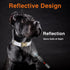 Reflective Dog Collar,Metal Buckle Soft Neoprene Padded Breathable Nylon Pet Collar Adjustable for Small Medium Large Boys Girls Dogs (White, Medi...