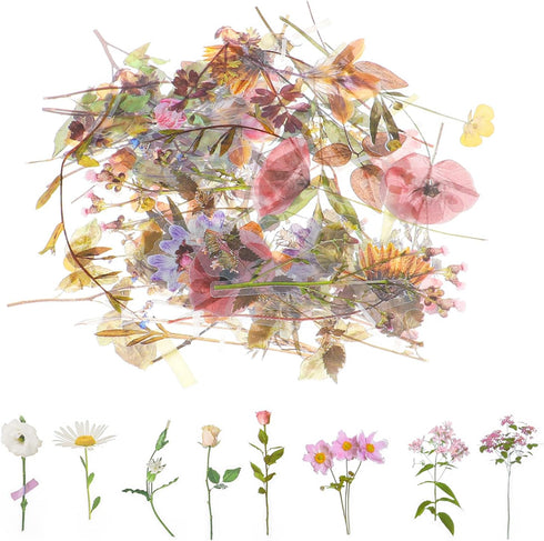 240 Pcs Plants Flowers Stickers, Botanical Stickers Set, Transparent Flower Stickers, Clear Pressed Wildflower Stickers Vintage Floral Botanical J...