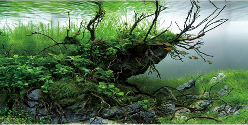 AWERT 24x16 inches Branches Fish Tank Background Seaweed Aquarium Background River Bed & Lake Aquarium Background Vinyl Background...