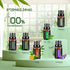 Essential Oils Sets Pure Oils kit- Top 6 Aromatherapy Oils Gift Set-6 Pack, 10ML(Rosemary, Lavender, Lemon Grass, Orange, Peppermint, Tea Tree)...