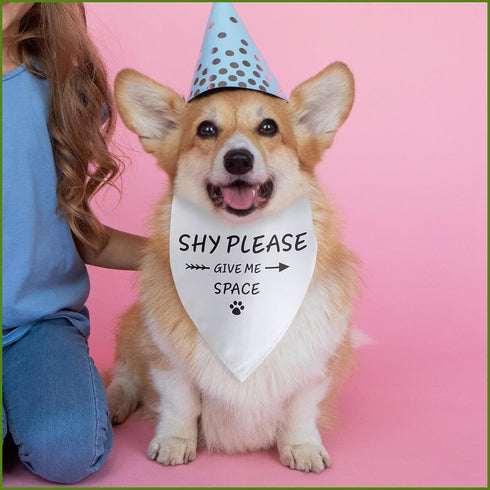 Shy Please Give Me Space Dog Bandana Funny Puppy Bandana Triangle Photo Prop Pet Scarf Accessories for Dog Lovers Gift...