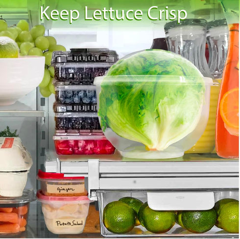 Trenton Gifts Lettuce And Vegatable Storage Keeper | 7" X 8"...