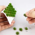 Cayway 128 PCS Static Grass Tuft Model Grass Tufts Terrain Model Kit Resin Static Scenery Model, Fake Moss Grass and Tweezers for Train Landscape ...