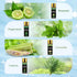 Summer Essential Oils Set - Fragrance Oil for Diffuser, Humidifier, Aromatherapy, Candle Making -...