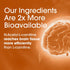 Nutrition Essentials Nootropic Brain Support Supplement - Caffeine-Free Capsules That Support The Brain - Brain Support Pills with St. John's Wort...