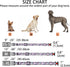 Cute Floral Dog Collar for Small Medium Large Dogs,Girl Female Dog Collars Soft Patterns Adjustable Pet Collar with Quick Release Safety Buckle fo...