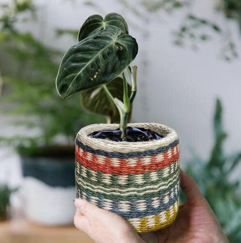 Plant Pots, Planters Indoor Plant Pot for All Home Garden Flowers Succulents Modern Round Decorative Flower Pot Indoor (Style 1)...