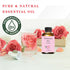 Rose Essential Oil 4 Oz, Premium Grade Rose Oil for Massage, Face, Skin & Diffuser and Aromatherapy 120 mL...
