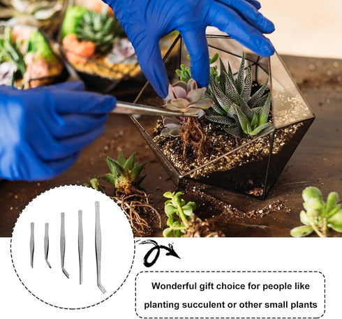 FOMIYES 5pcs gardening tweezers bonsai tool kit bejeweled kit mini succulent plants stamp collector tools miniature gardening succulent tools kit ...