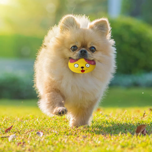 Squeaky Dog Toys Funny Animal Dog Balls for Puppy Mini Small Pet Dogs 6 Pcs/Set (Cat)...