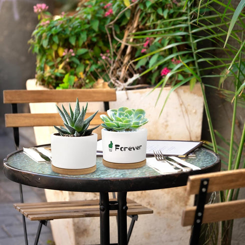 3.2'' Succulent Pots, Mini Succulent Pots Cute Succulent Pots with Woonden Tray Small Ceramic, Girls Women Birthday Gifts Plant Lovers Housewarmin...