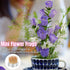 Mini Kenzan Pin Frog 23mm/0.9inch Diameter Floral Ikebana Flower Arranger Holder for Small Vase (5Pcs)...