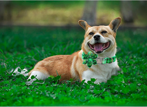 Lionheart glory St. Patrick's Day Dog Collar with Flower Dog Collar for Medium Dogs, Green Plaid Collars Spring Dog Collar Flower Pet Collar Bows ...