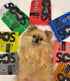 SOOS Cod and Pumpkin Dog Treats Training Dog Treats Dog Chews Cat Treats All Natural Dogs and Cats Wellness Treat for Pets - 1x Pack 85gr / 3oz...
