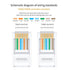 Cat6 RJ45 Connectors, Cat 6 2-Piece RJ45 Ends, UTP 8P8C Ethernet Connector Plug for Cat6 Cat5e Cable 100pcs...