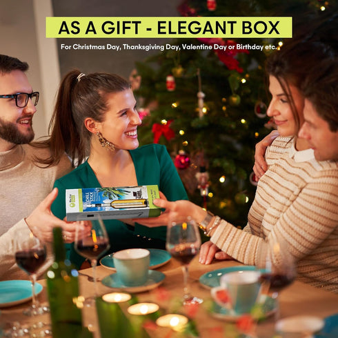 Wine Chiller - Wine Cooler Stick, 3 in 1 Stainless Steel Wine Bottle Chiller with Aerator and Pourer, The Best Holiday Gifts....