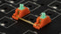 C3 x The Key Company Screw-in Stabilizers V3 | Gold Wire | PCB-Mounted Stabs for TKL Custom Keyboard | DIY Mechanical Keyboard Stabilizers (Tanger...