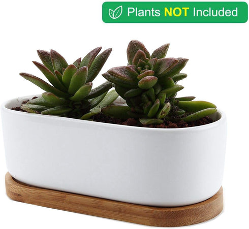 T4U 6.5 Inch Ceramic White Modern Oval Design Succulent Plant Pot/Cactus Plant Pot with Free Bamboo Tray...