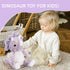 Cute Purple Dinosaur Stuffed Animals for Girls, Dinosaur Party Favors, Cuddly Dinosaur Plush Toy for Kids, Huggable Triceratops for Baby, Birthday...
