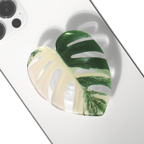COMMONKUNST Tropical Rare Leaf Plant Multi Functional Collapsible Expandable Mobile Phone Grip & Kicktand (Albo Monstera)......