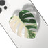 COMMONKUNST Tropical Rare Leaf Plant Multi Functional Collapsible Expandable Mobile Phone Grip & Kicktand (Albo Monstera)......
