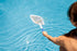 Poolmaster 21156 Small Pool, Spa, Hot Tub and Pond Leaf Skimmer with 2-Piece Adjustable Pole, White...