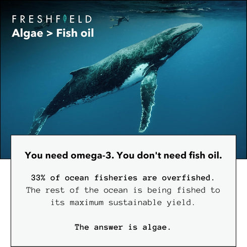 Freshfield Vegan Omega 3 DHA: Algae Oil, Most Reviewed, Carrageenan Free, Sustainably Sourced, Tested, No Heavy Metals, Fish Oil Alt, Plant Based ...