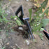 Weed Puller Tool Garden Weed Pulling Tool,Durable Manganese Steel Hand Weeder Tool, Manual Multifunctional Weeders Gardening Tools for Yard and Ga...