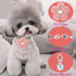 Small Dog Collar with Flower, Puppy Collar for Girl Dog Collars for Small Dogs Cute Dog Collar with Bell, Adjustable Length (Pink)...