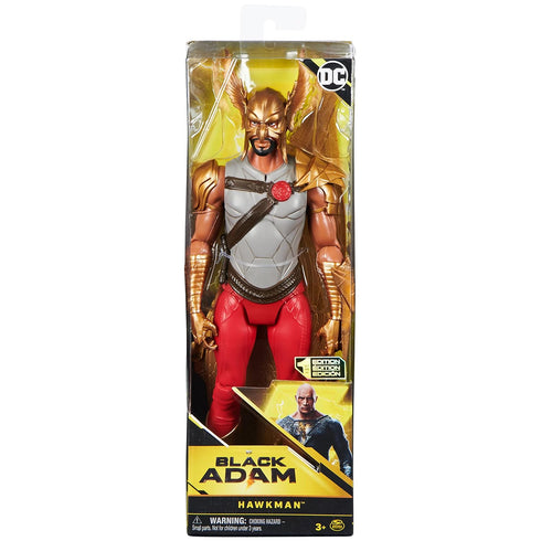 DC Comics, Hawkman 12-inch Action Figure, Black Adam Movie Collectible Kids Toys for Boys and Girls Ages 3 and Up...