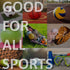 Extra Large Sports Ball Bag Mesh Soccer Ball Bag Heavy Duty Drawstring Bags Team Work for Holding Basketball, Volleyball, Baseball, Swimming Gear ...