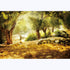 Leyiyi 7x5ft Natural Scenery Backdrop Olive Trees Sunshine Wonderland Dreamy Haze Blurred Background Stone Natural Forest Landscape Video Photo St...