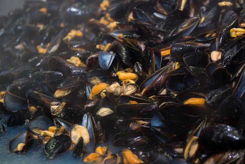 Matiz España Mussels in Extra Virgin Olive Oil & Apple Cider Vinegar | 3.92 oz. - 1 Pack | Handcrafted in Galicia, Spain | Sustainably Cultivated ...
