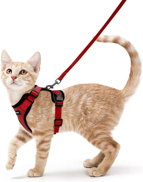 rabbitgoo Cat Harness and Leash for Walking, Escape Proof Soft Adjustable Vest Harnesses for Cats, Easy Control Breathable Reflective Strips Jacke...