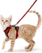 rabbitgoo Cat Harness and Leash for Walking, Escape Proof Soft Adjustable Vest Harnesses for Cats, Easy Control Breathable Reflective Strips Jacke...
