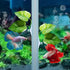 3 Pack Betta Fish Leaf Pad Improves Betta's Health by Simulating The Natural Habitat - Natural, Organic, Comfortable Rest Area for Fish Aquarium...