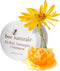 Herbal Antiseptic Ointment - Calendula, Arnica & Comfrey Oil for Minor Cuts & Scratches - Antibiotic-Free- Healing- good for cuts,scrapes, bruises...