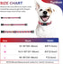 American Flag Dog Collar?4 of July Cute Adjustable Patriotic Collar for Boy and Girl Dogs, Dog Collar with Strong Plastic Buckle - for Small Mediu...