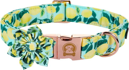 MR. CHUBBYFACE Dog Collar with Bowtie Summer Lemon Dog Collar Adjustable Boy Girl Flower Dog Collar Bowtie for Small Medium Large Dog...