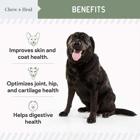 Chew + Heal All in 1 Dog Vitamin - 60 Soft Chew Treats - Chewable Multivitamin with Probiotics, Digestive Enzymes, for Skin and Coat, Hip and Join...