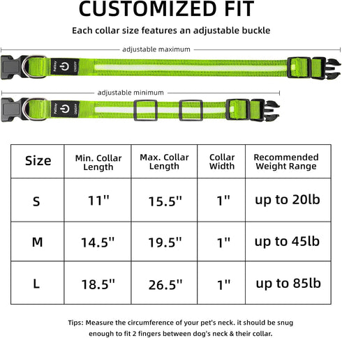 PetIsay Light up Dog Collar - High Visibility & Durable Nylon Material - USB C Rechargeable & Waterproof LED Dog Collar for Night Walking,Lighted ...
