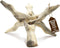 Alternative Imagination Wooden Tripod Display Stand - 6-Inch Hand Carved Holder Made from Mango Wood -Folding Natural Stand for Abalone Shell, Cry...
