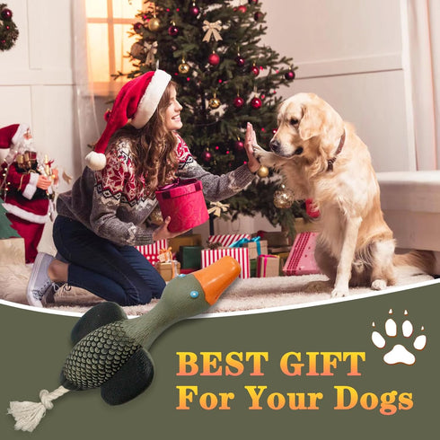 Interactive Dog Toys for Medium Small Breed, Soft Rubber Squeaky Dog Toys for Teething and Training...