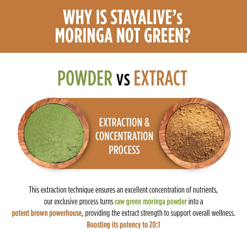 STAY ALIVE Pure Moringa Capsules, 20000mg Equivalent, 120 Vegan Moringa Pills, Immune, Digestive & Body Support, Green Superfood with Extra Streng...