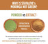 STAY ALIVE Pure Moringa Capsules, 20000mg Equivalent, 120 Vegan Moringa Pills, Immune, Digestive & Body Support, Green Superfood with Extra Streng...