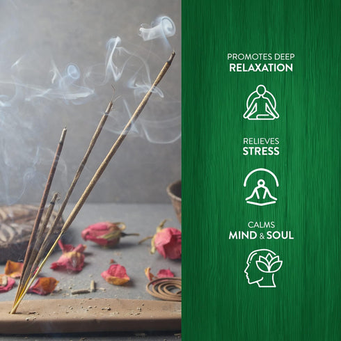 Hem Cannabis Incense Sticks (120 Sticks, 6 Boxes Inside) - 9 Inches Long, 20g per Box - |Perfect for Meditation, Rituals | Cleansing | Promotes Re...