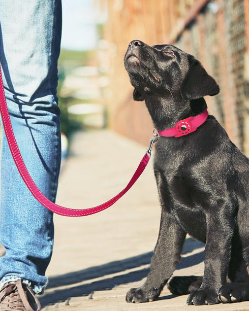 6ft Dog Leash for Small Medium Large Dogs | One-Sided Reflective Nylon | Padded Handle | 1 inch Wide | Hot Pink...